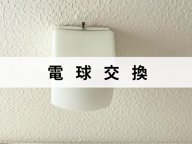 電球交換！照明取り換えも可能。最短即日作業！時間外も対応可能な場合有り！サービスの画像