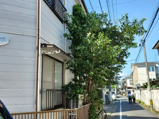 【☆八王子発:地域密着で営業中☆】お庭の木１本から、伐採いたします。サービスの画像