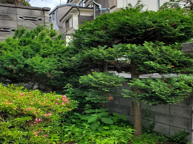 【☆八王子発:地域密着で営業中☆】お庭の木１本から、伐採いたします。サービスの画像