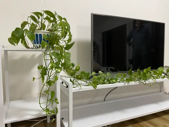 【当日予約大歓迎！】家具作成・家具取付・地震対策★ワンランク上の仕上がりサービスの画像