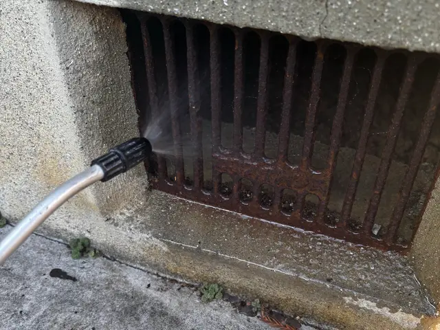 ☆新春キャンペーン料金50%オフ☆『虫バリア付き』【害虫駆除/コバエ】サービスの画像