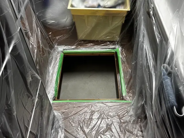 ☆新春キャンペーン料金50%オフ☆『虫バリア付き』【害虫駆除/コバエ】サービスの画像