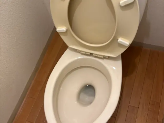 プロの技術でご満足いただけるように心を込めて作業いたしますサービスの画像