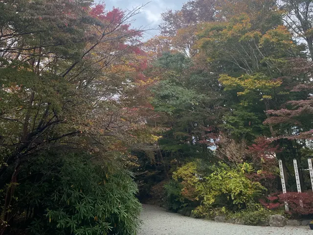 夫婦二人三脚で営んでおります。庭木のご相談、お見積りはお気軽にご相談ください。サービスの画像