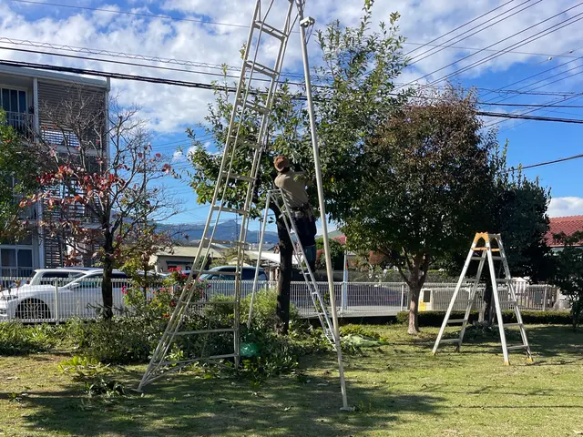夫婦二人三脚で営んでおります。庭木のご相談、お見積りはお気軽にご相談ください。サービスの画像