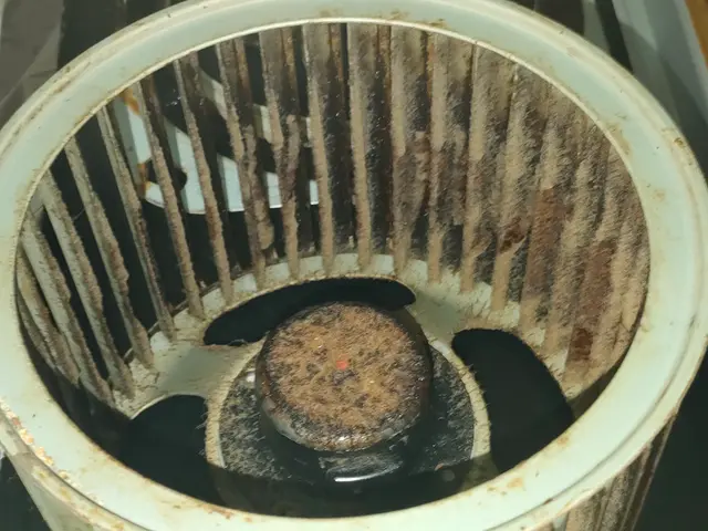 【キャンペーン】現金支払いでシンクのガラスコーティングが無料!!11月15日までサービスの画像