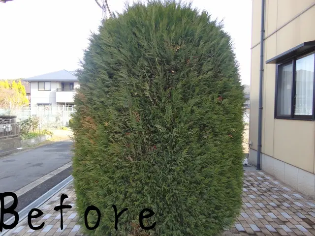 ★見積・相談無料★ご連絡ください！　経験豊富！安心安全な作業をお約束します。サービスの画像