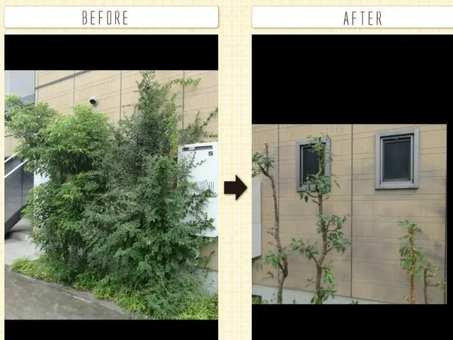 ★見積・相談無料★ご連絡ください！　経験豊富！安心安全な作業をお約束します。サービスの画像