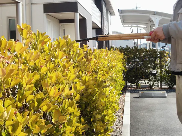 ★見積・相談無料★ご連絡ください！　経験豊富！安心安全な作業をお約束します。サービスの画像