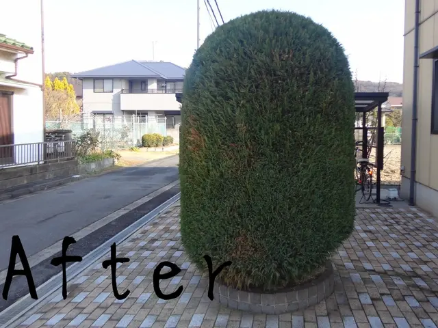 ★見積・相談無料★ご連絡ください！　経験豊富！安心安全な作業をお約束します。サービスの画像