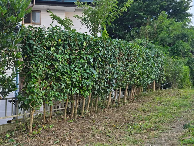 お見積り無料ですので、まずはお気軽にお問い合わせください❀サービスの画像