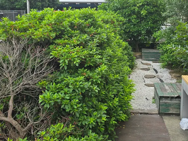 お見積り無料ですので、まずはお気軽にお問い合わせください❀サービスの画像