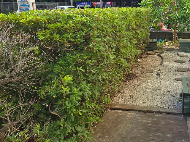 お見積り無料ですので、まずはお気軽にお問い合わせください❀サービスの画像