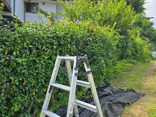 お見積り無料ですので、まずはお気軽にお問い合わせください❀サービスの画像