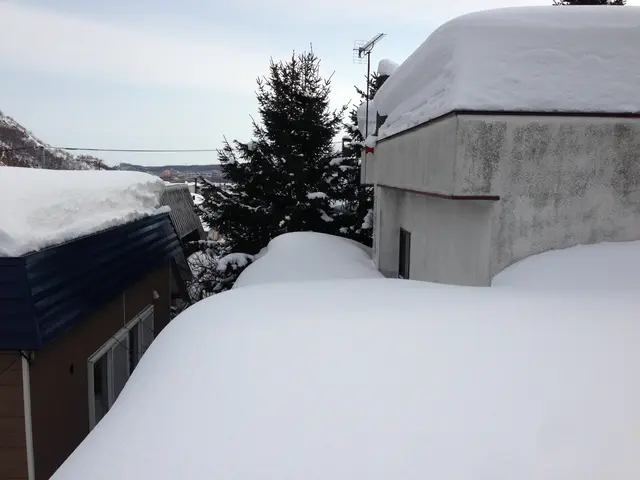 雪かき・雪下ろし＜1名でお伺いいたします＞★年中無休でご対応中★サービスの画像