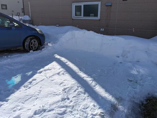 雪かき・雪下ろし＜1名でお伺いいたします＞★年中無休でご対応中★サービスの画像