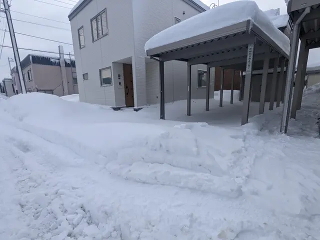 雪かき・雪下ろし＜1名でお伺いいたします＞★年中無休でご対応中★サービスの画像