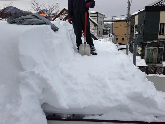 雪かき・雪下ろし＜1名でお伺いいたします＞★年中無休でご対応中★サービスの画像
