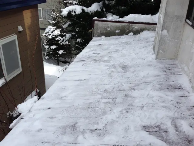 雪かき・雪下ろし＜1名でお伺いいたします＞★年中無休でご対応中★サービスの画像