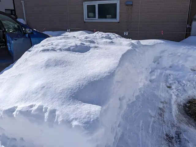 雪かき・雪下ろし＜1名でお伺いいたします＞★年中無休でご対応中★サービスの画像