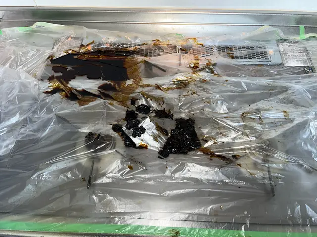 【分解洗浄で奥まで掃除】油汚れ・匂いも落として換気アップ⇧サービスの画像