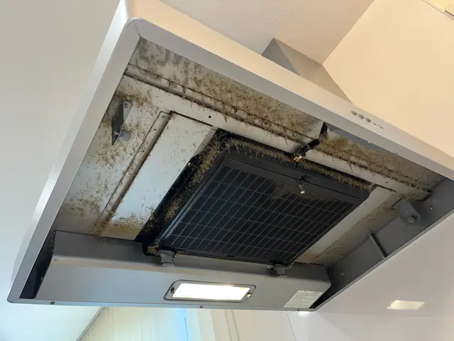 【分解洗浄で奥まで掃除】油汚れ・匂いも落として換気アップ⇧サービスの画像