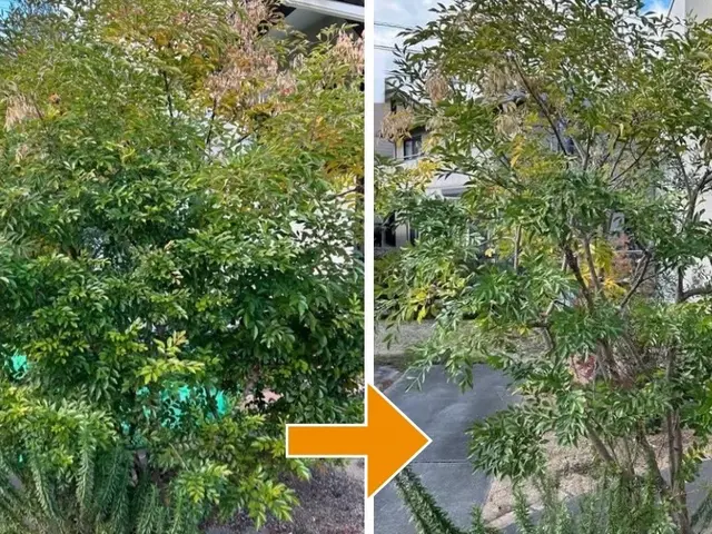 【そろそろ庭の植木を切らないと・・】とお考えの方へ、一本からでも対応いたします！サービスの画像