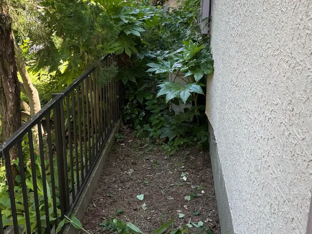 草むしり作業サービスの画像