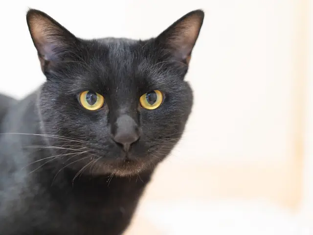 ◎年中無休◎土日祝もご予約大歓迎◎女性カメラマンがお伺いします！