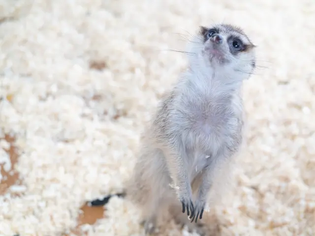 ◎年中無休◎土日祝もご予約大歓迎◎女性カメラマンがお伺いします！