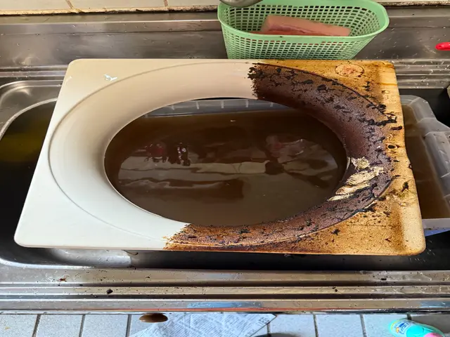 換気扇のお掃除【プロペラタイプ】サービスの画像