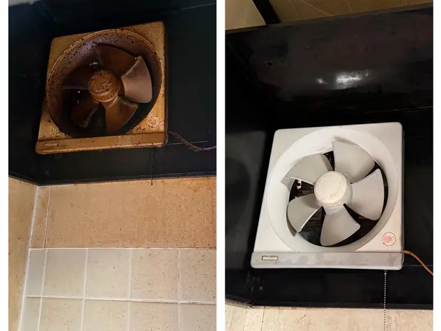 換気扇のお掃除【プロペラタイプ】サービスの画像