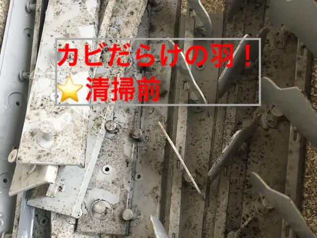 高評価獲得◆カビ・ウイルス徹底除去◆防カビ3900円サービス◆和歌山三重全域サービスの画像