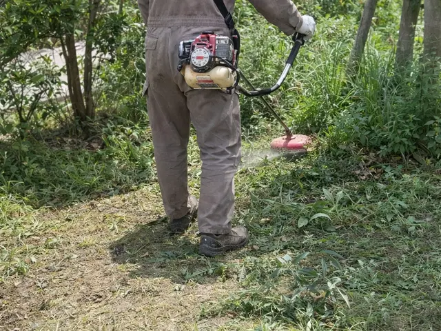 草むしり（手作業）｜ご近所に配慮した静かな作業サービスの画像