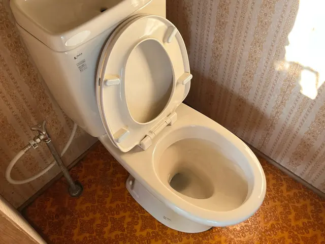 【一般社団法人ビジネス協会修了】経験と知識を活かして迅速丁寧に作業いたします！サービスの画像