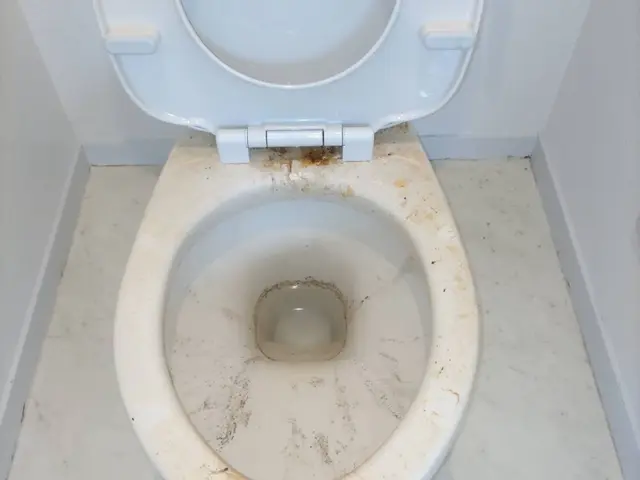 【一般社団法人ビジネス協会修了】経験と知識を活かして迅速丁寧に作業いたします！サービスの画像