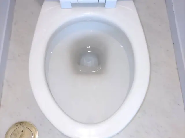 【一般社団法人ビジネス協会修了】経験と知識を活かして迅速丁寧に作業いたします！サービスの画像