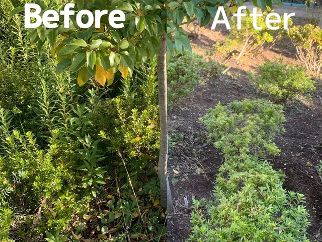 【機材使用の草刈り】ボーボーお庭をすっきりお庭に！◇神奈川近郊◇安心価格サービスの画像