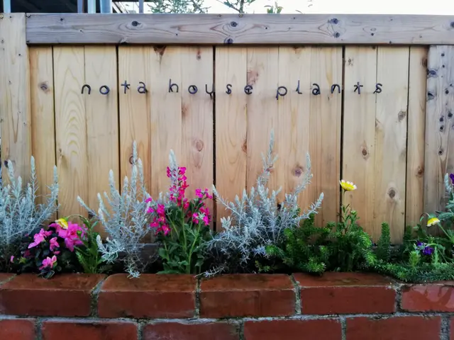 【機材使用の草刈り】ボーボーお庭をすっきりお庭に！◇神奈川近郊◇安心価格サービスの画像