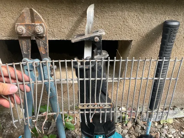 【現地調査無料】ネズミ駆除侵入口徹底閉鎖し完全駆除絶対にします！再発させません。サービスの画像