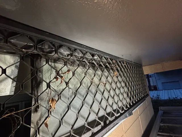 【現地調査無料】ネズミ駆除侵入口徹底閉鎖し完全駆除絶対にします！責任ある仕事を！サービスの画像