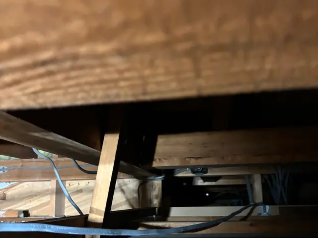 【現地調査無料】ネズミ駆除侵入口徹底閉鎖し完全駆除絶対にします！責任ある仕事を！サービスの画像