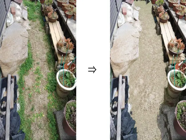 ☆カード決済OK☆　忙しいあなたに代わって私たちが丁寧に草むしり致します！サービスの画像