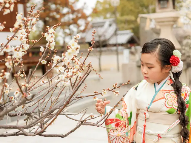 プロの技術でご満足いただけるように心を込めて撮影いたしますサービスの画像