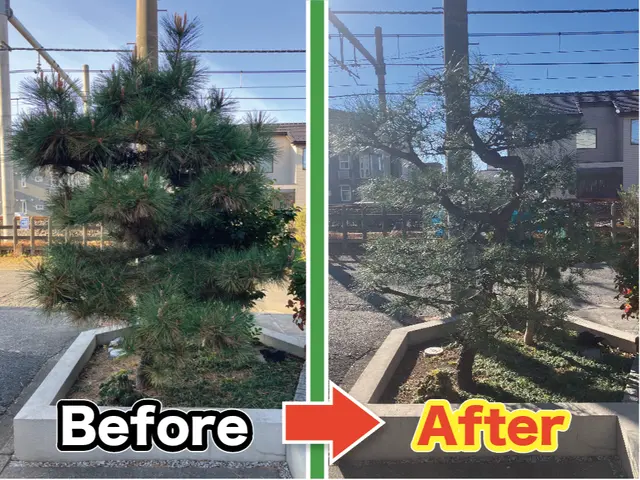 よくわからない場合はお見積りにお伺いしますのでお気軽にお申込み下さい ！！サービスの画像