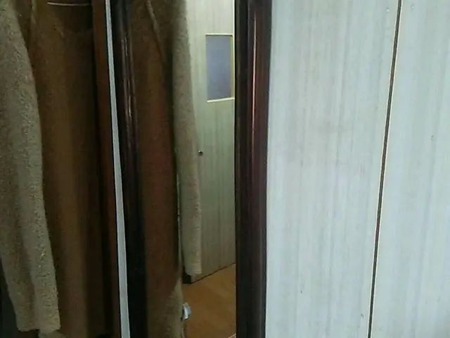 静岡発　窓・サッシの掃除　受付は3枚からになります。サービスの画像