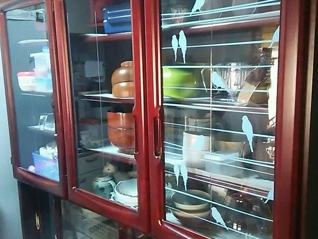 静岡発　窓・サッシの掃除　受付は3枚からになります。サービスの画像