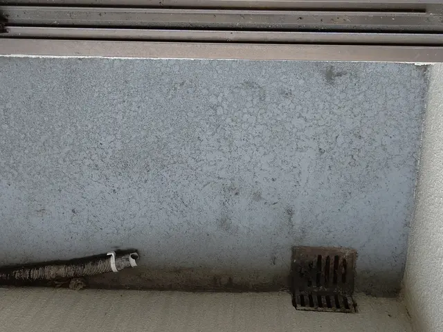 関西圏  空室  簡易清掃(引っ越しや不用品回収ご希望は、別途有料)サービスの画像