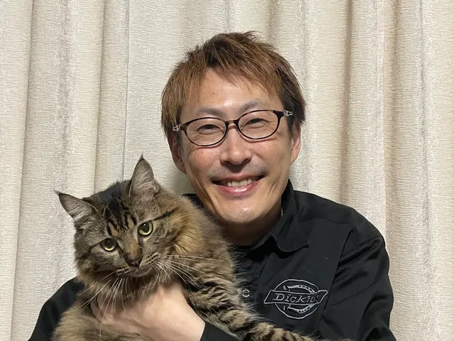 荷造り荷解きサービス！丁寧に心を込めて対応します。交通費込みサービスの画像