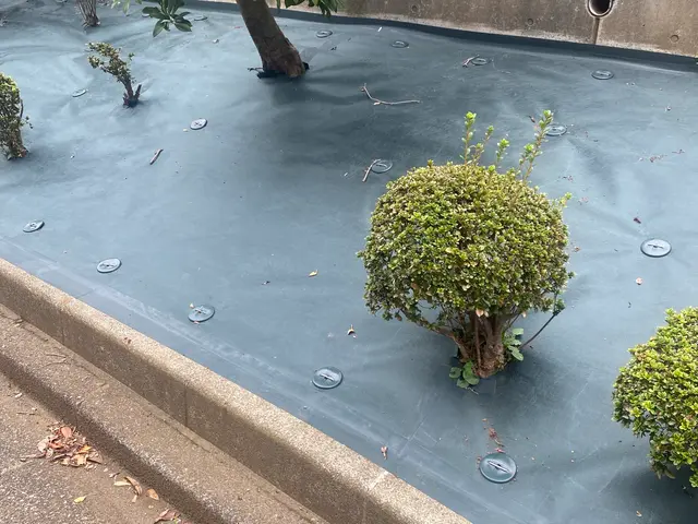 10月スタート♪　防草シート施工します。割引あり！！サービスの画像